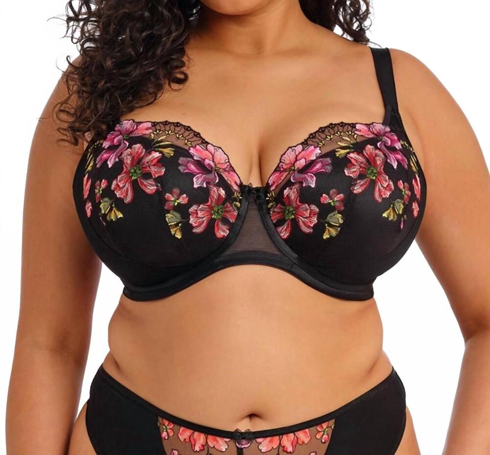 NEW ELOMI teagan padded half cup bra in rainbow